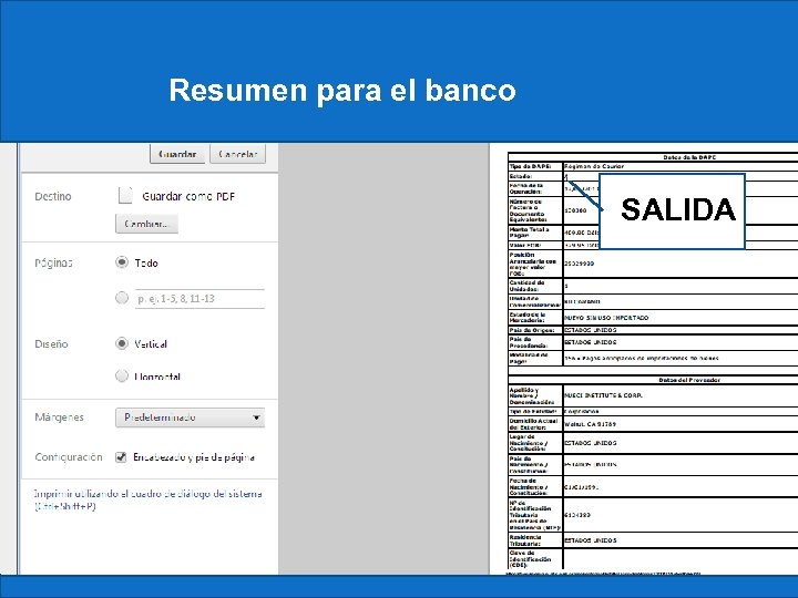 Resumen para el banco Constancia SALIDA 