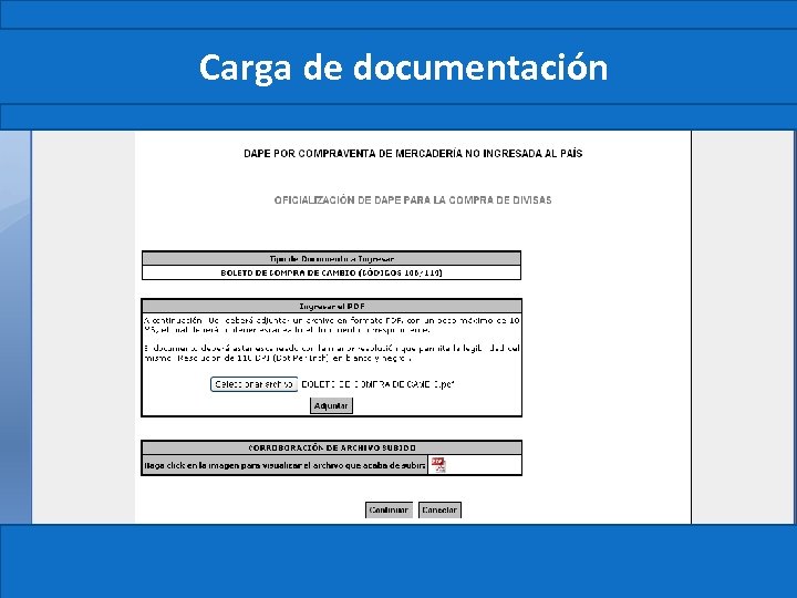 Carga de documentación 