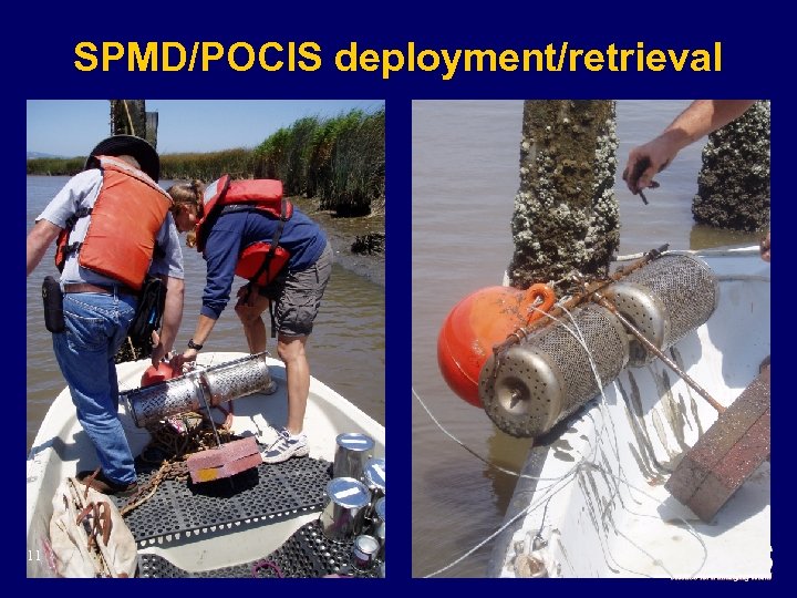 SPMD/POCIS deployment/retrieval 11 