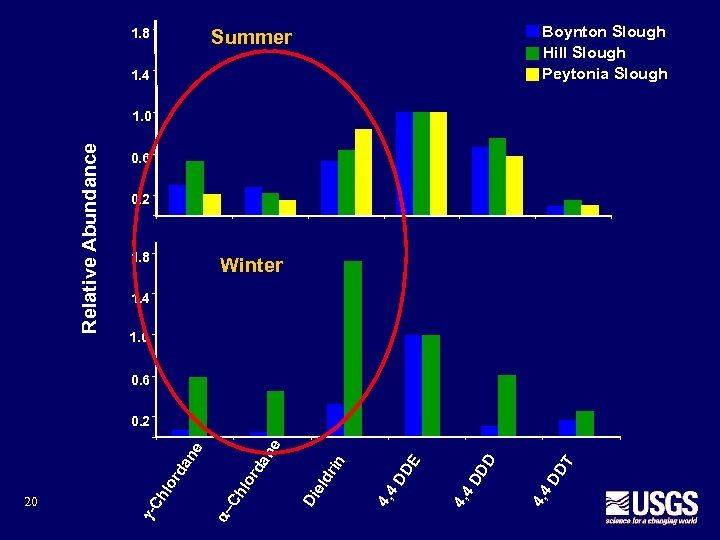 1. 8 Boynton Slough Hill Slough Peytonia Slough Summer 1. 4 Relative Abundance 1.