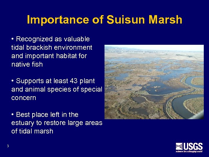 Importance of Suisun Marsh • Recognized as valuable tidal brackish environment and important habitat