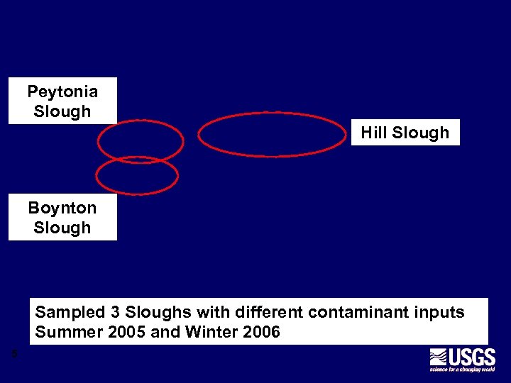 Peytonia Slough Hill Slough Boynton Slough Sampled 3 Sloughs with different contaminant inputs Summer