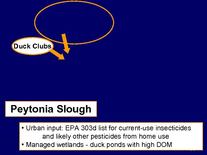 Duck Clubs Peytonia Slough 7 • Urban input: EPA 303 d list for current-use