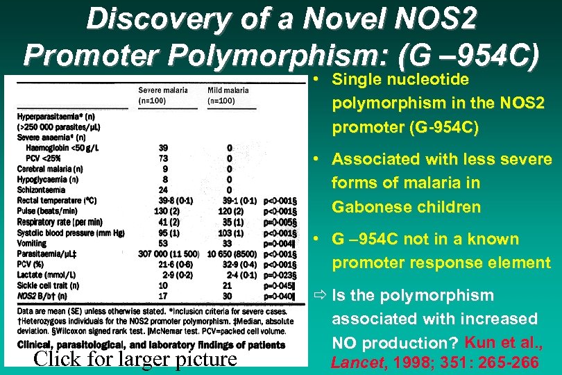 Discovery of a Novel NOS 2 Promoter Polymorphism: (G – 954 C) • Single