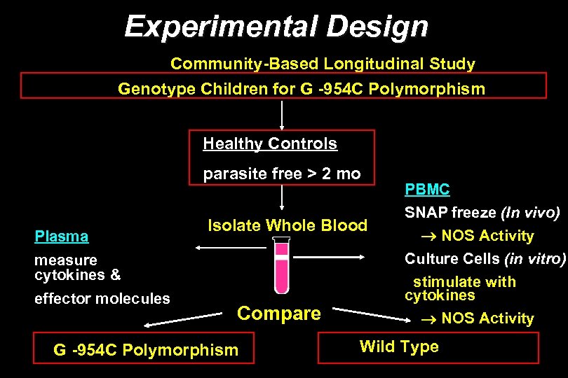 Experimental Design Community-Based Longitudinal Study Genotype Children for G -954 C Polymorphism Healthy Controls