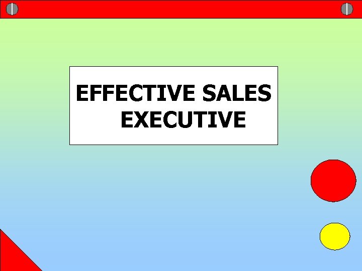 EFFECTIVE SALES EXECUTIVE 