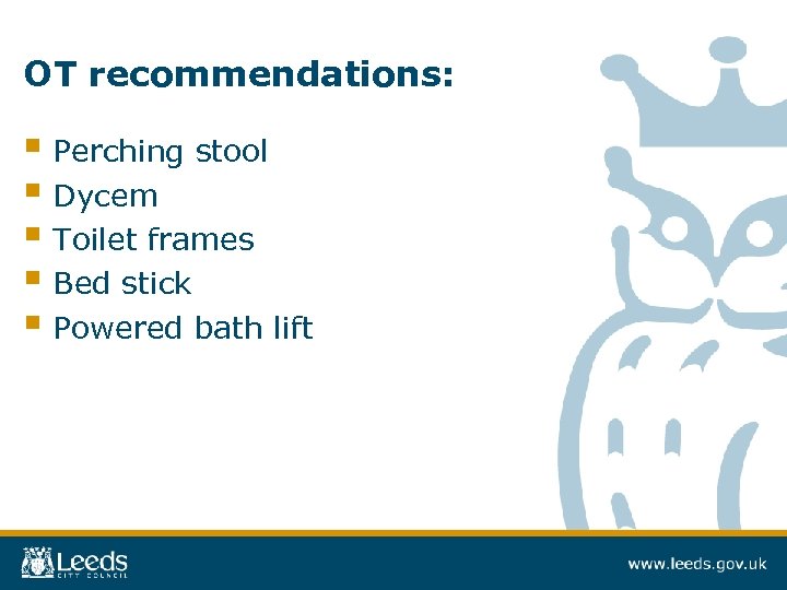 OT recommendations: § Perching stool § Dycem § Toilet frames § Bed stick §