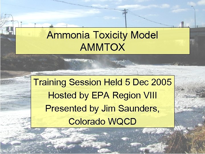Ammonia Toxicity Model AMMTOX Training Session Held 5 Dec 2005 Hosted by EPA Region