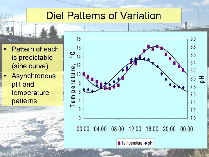 Diel Patterns of Variation • Pattern of each is predictable (sine curve) • Asynchronous