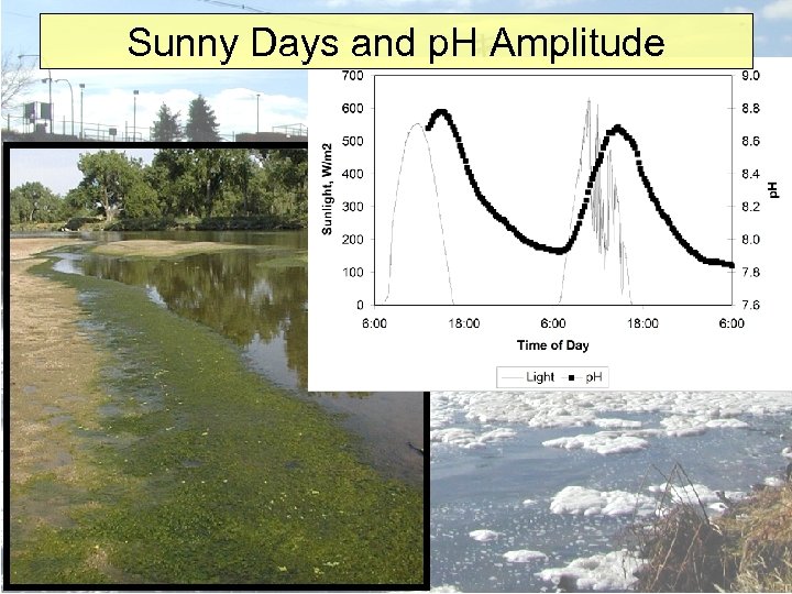 Sunny Days and p. H Amplitude 