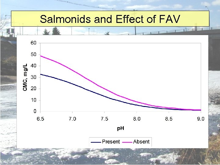 Salmonids and Effect of FAV 