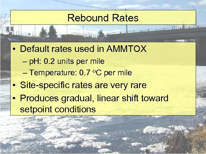 Rebound Rates • Default rates used in AMMTOX – p. H: 0. 2 units
