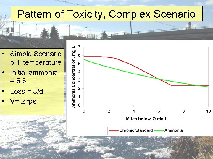 Pattern of Toxicity, Complex Scenario • Simple Scenario p. H, temperature • Initial ammonia