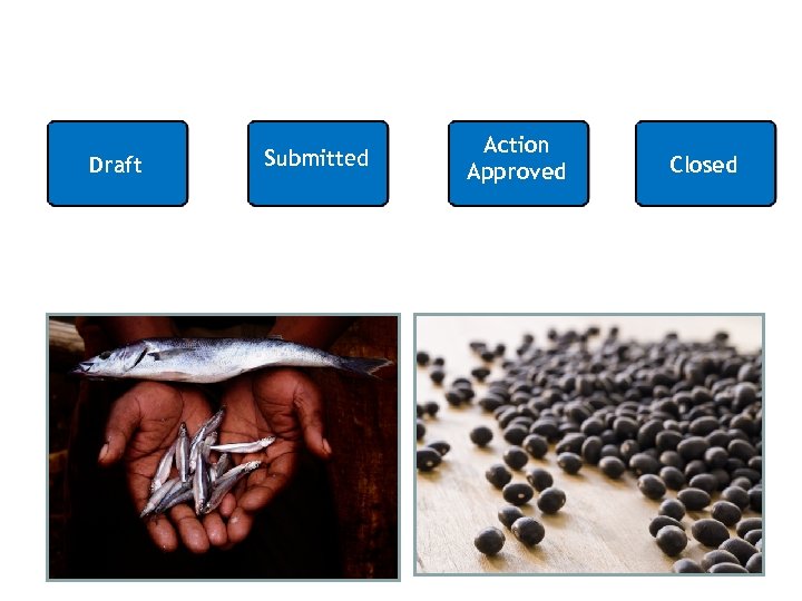 Draft Submitted Action Approved Closed 