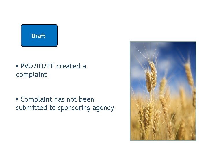 Draft • PVO/IO/FF created a complaint • Complaint has not been submitted to sponsoring