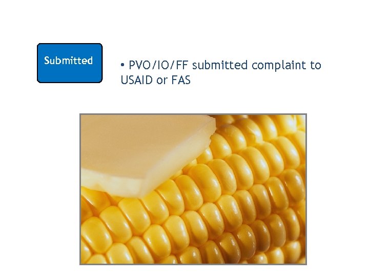 Submitted • PVO/IO/FF submitted complaint to USAID or FAS 