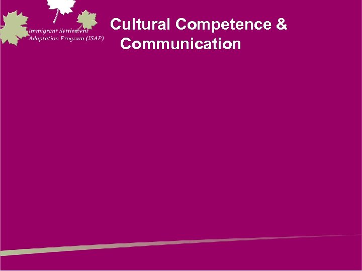 Cultural Competence & Communication 