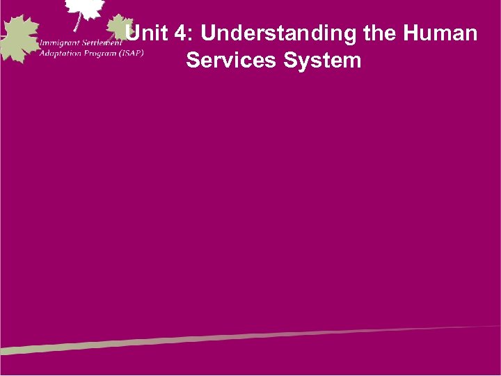 Unit 4: Understanding the Human Services System 