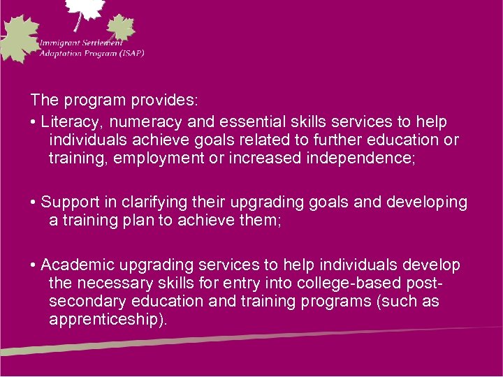 The program provides: • Literacy, numeracy and essential skills services to help individuals achieve