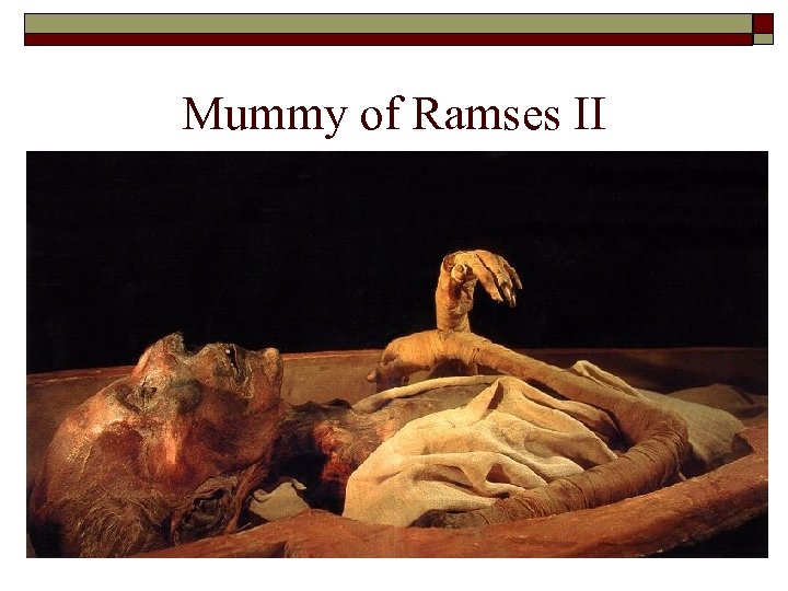 Mummy of Ramses II 