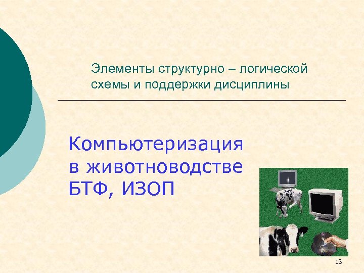 Элементы структурно – логической схемы и поддержки дисциплины Компьютеризация в животноводстве БТФ, ИЗОП 13