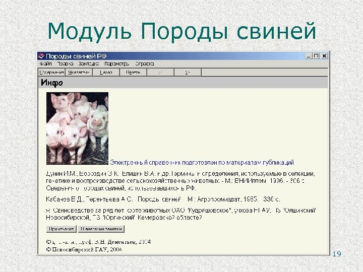 Модуль Породы свиней 19 