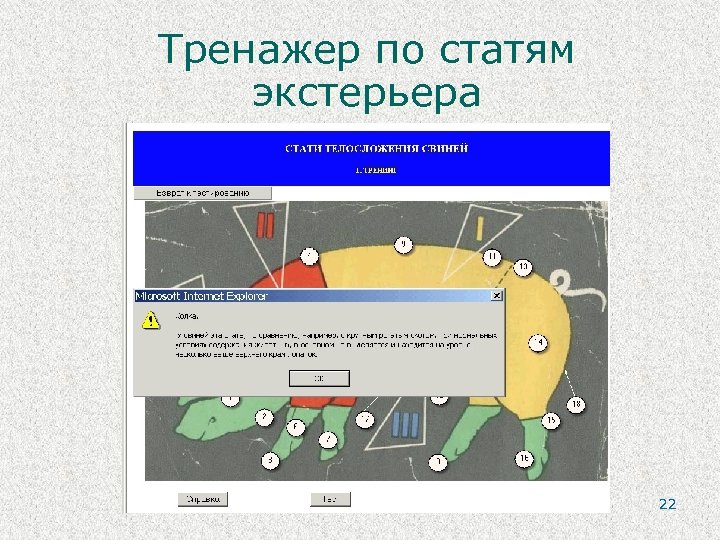 Тренажер по статям экстерьера 22 