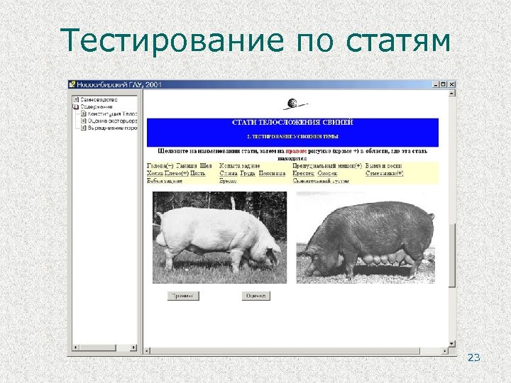 Тестирование по статям 23 