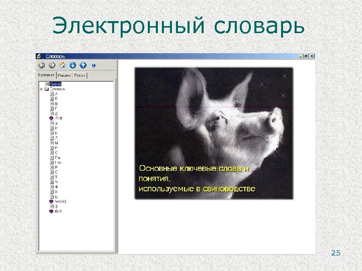 Электронный словарь 25 