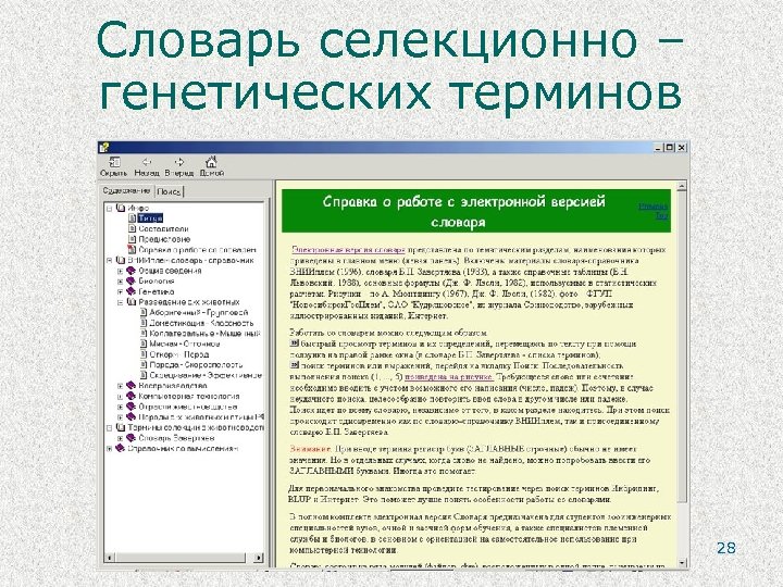 Словарь селекционно – генетических терминов 28 