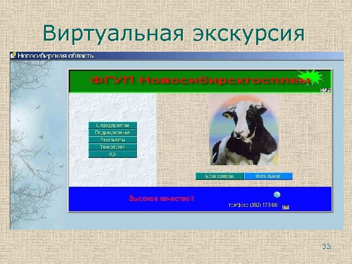 Виртуальная экскурсия 33 