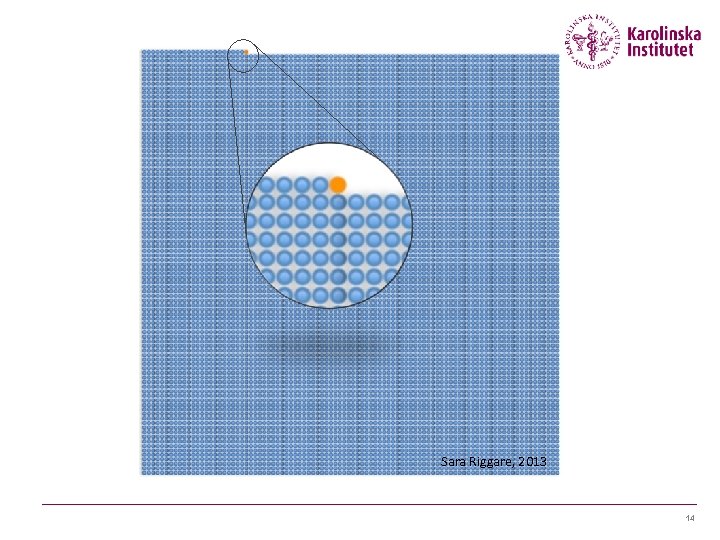 Sara Riggare, 2013 14 