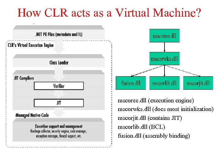 How CLR acts as a Virtual Machine? mscoree. dll (execution engine) mscorwks. dll (does