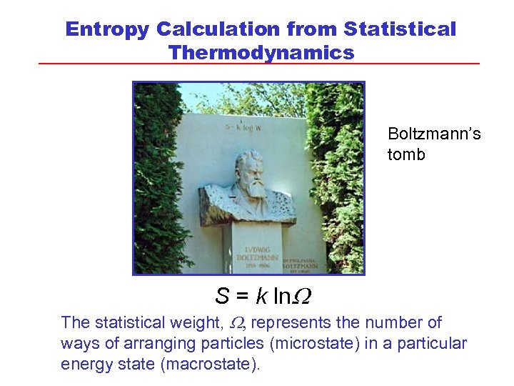 Entropy Calculation from Statistical Thermodynamics Boltzmann’s tomb S = k ln The statistical weight,