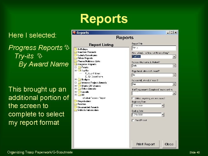 Reports Here I selected: Progress Reports Try-its By Award Name This brought up an