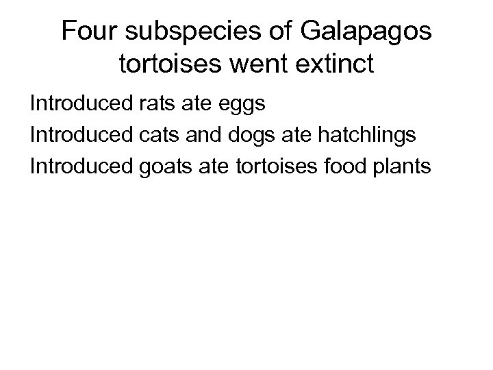 Four subspecies of Galapagos tortoises went extinct Introduced rats ate eggs Introduced cats and