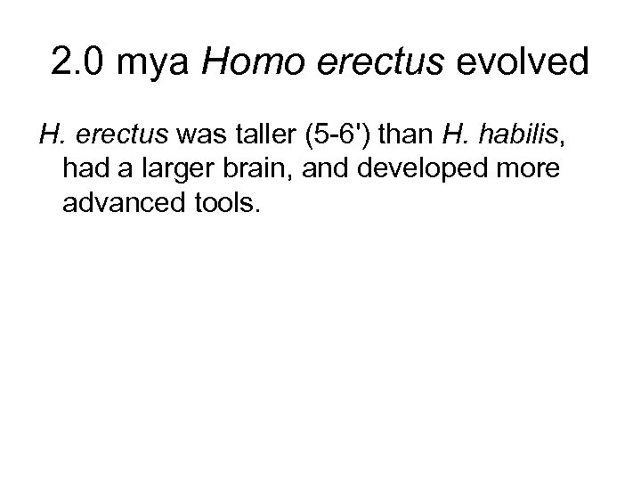 2. 0 mya Homo erectus evolved H. erectus was taller (5 -6') than H.