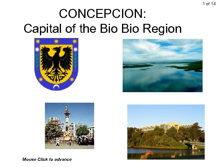 1 of 14 CONCEPCION: Capital of the Bio Region Mouse Click to advance 