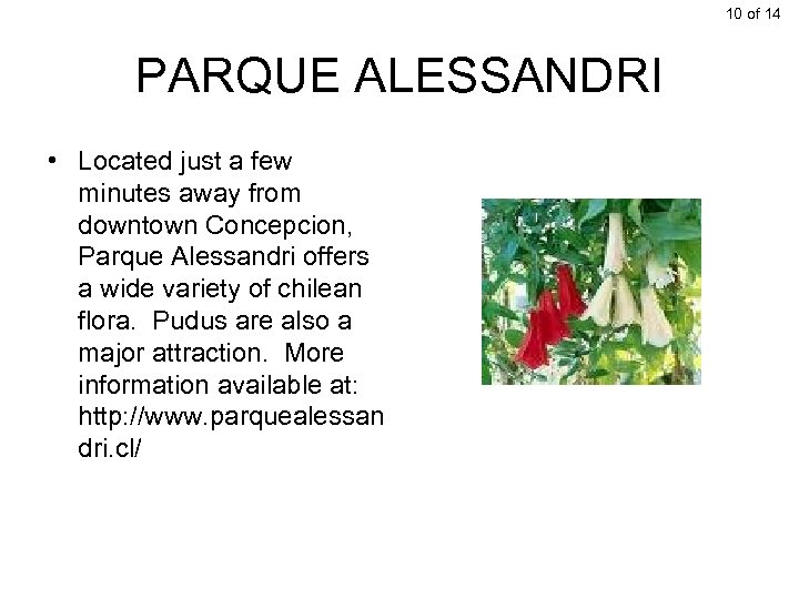 10 of 14 PARQUE ALESSANDRI • Located just a few minutes away from downtown