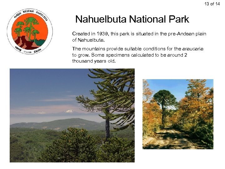 13 of 14 Nahuelbuta National Park Created in 1939, this park is situated in