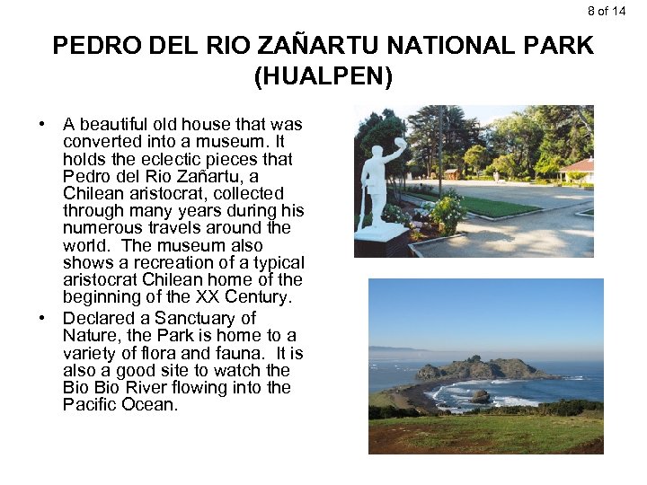 8 of 14 PEDRO DEL RIO ZAÑARTU NATIONAL PARK (HUALPEN) • A beautiful old