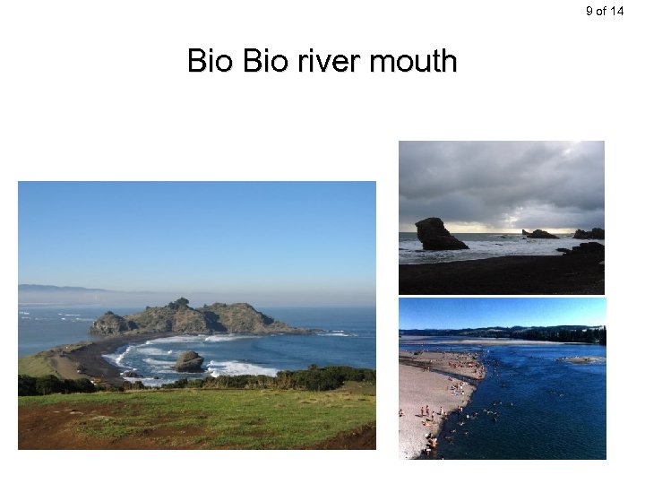 9 of 14 Bio river mouth 