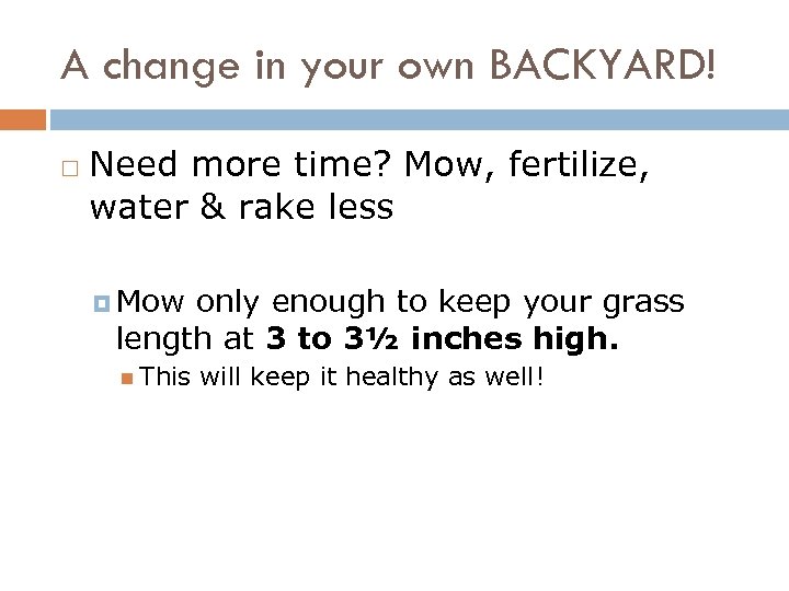 A change in your own BACKYARD! Need more time? Mow, fertilize, water & rake