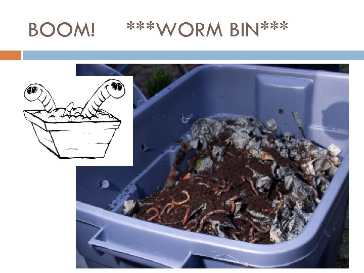 BOOM! ***WORM BIN*** 