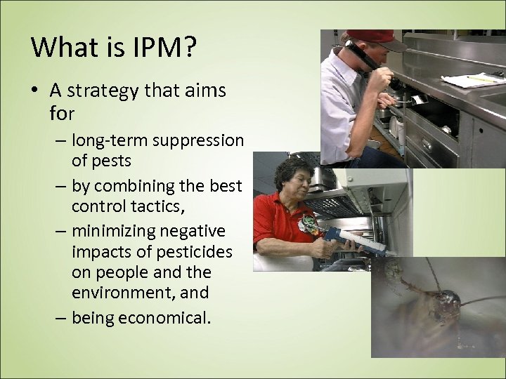 What is IPM? • A strategy that aims for – long-term suppression of pests