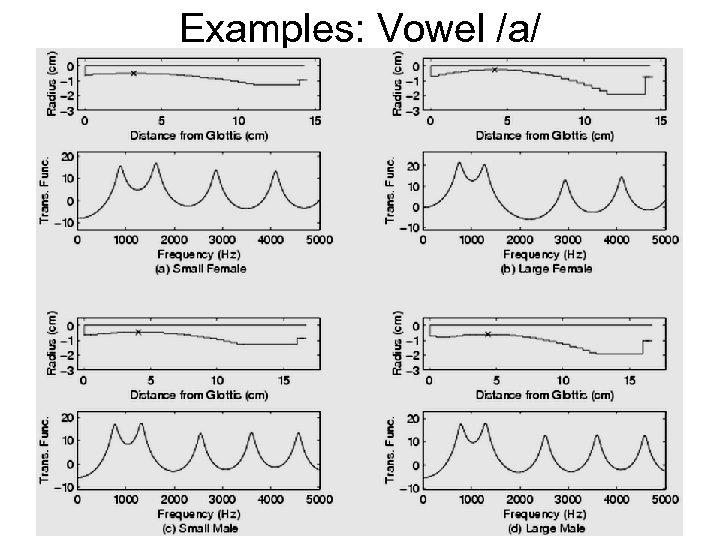 Examples: Vowel /a/ 