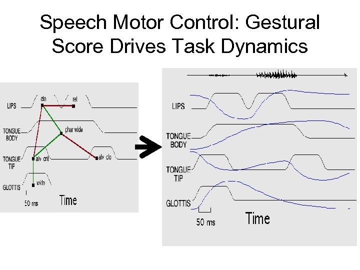 Speech Motor Control: Gestural Score Drives Task Dynamics 