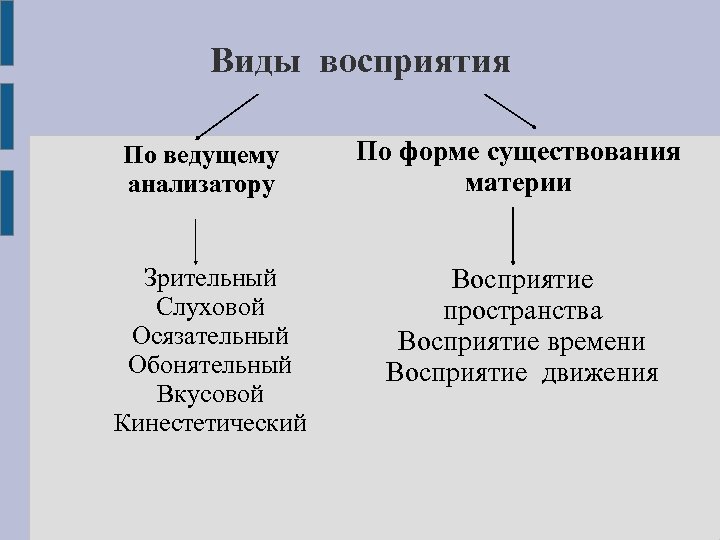 Виды восприятия По ведущему анализатору Зрительный Слуховой Осязательный Обонятельный Вкусовой Кинестетический По форме существования