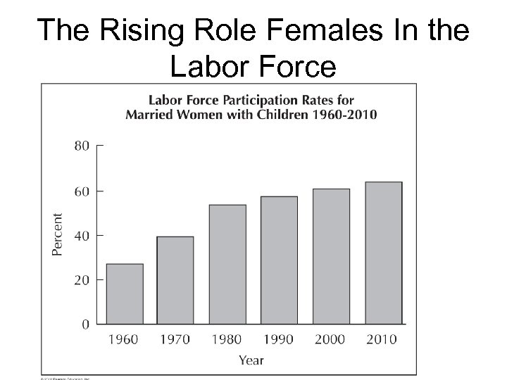 The Rising Role Females In the Labor Force 