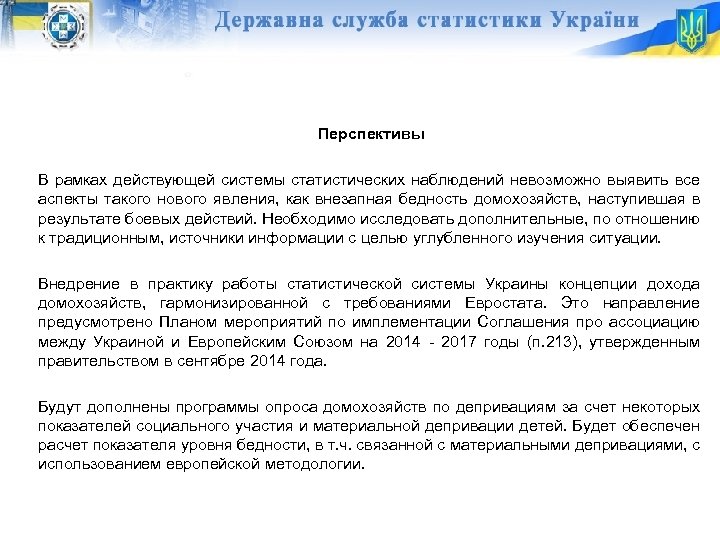 Перспективы В рамках действующей системы статистических наблюдений невозможно выявить все аспекты такого нового явления,